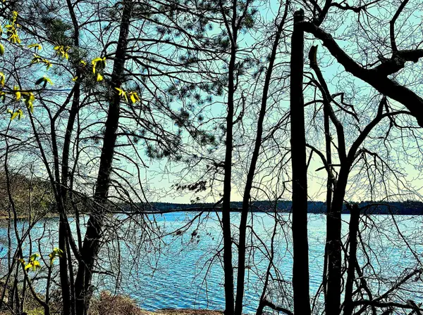 TBD Rognaldson Road, Brainerd, MN 56401
