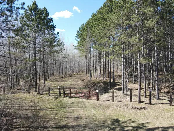 TBD (164.21AC) Maple Grove Road, Cloquet, MN 55720