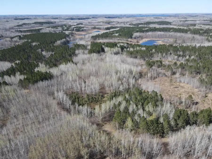 TBD (280AC) Maple Grove Road, Cloquet, MN 55720 - #3