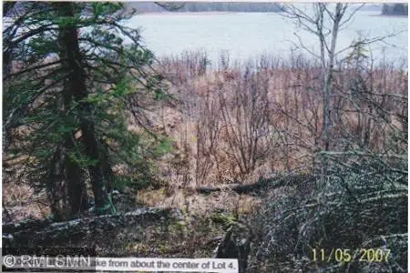 4xxxx Moose Bay Trail, Northome, MN 56661