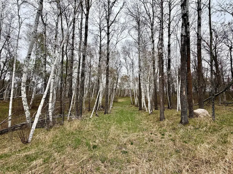 L17B1 Acorn Ridge Road Nw, Bemidji, MN 56601 - #2