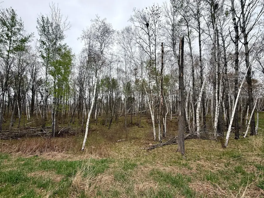 L17B1 Acorn Ridge Road Nw, Bemidji, MN 56601 - #3