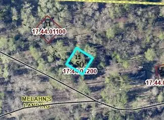 TBD Necktie Lane, Lake George, MN 56458 - #2