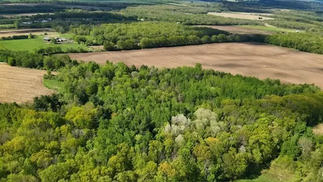 xxx Vista Road, Taylors Falls, MN 55084 - #1