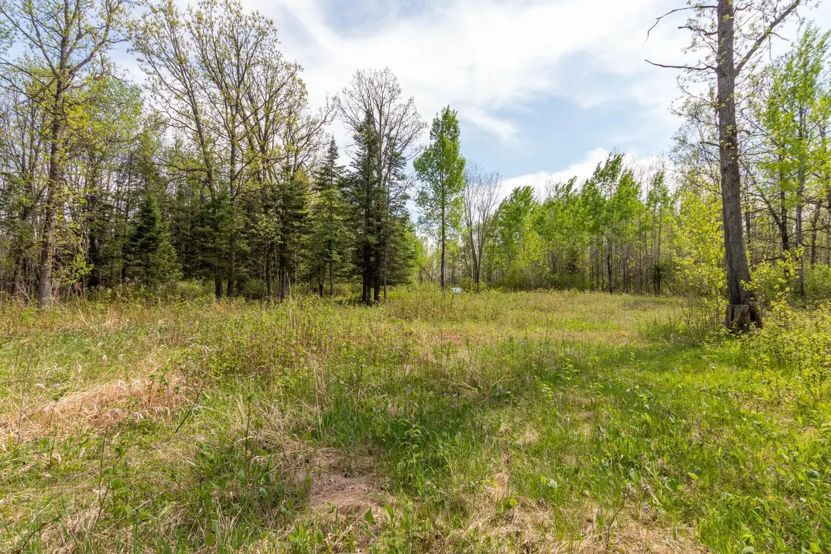 TBD Stephani Road Nw, Puposky, MN 56667 - #1