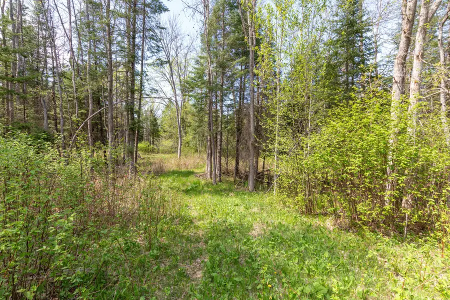 TBD Stephani Road Nw, Puposky, MN 56667 - #2