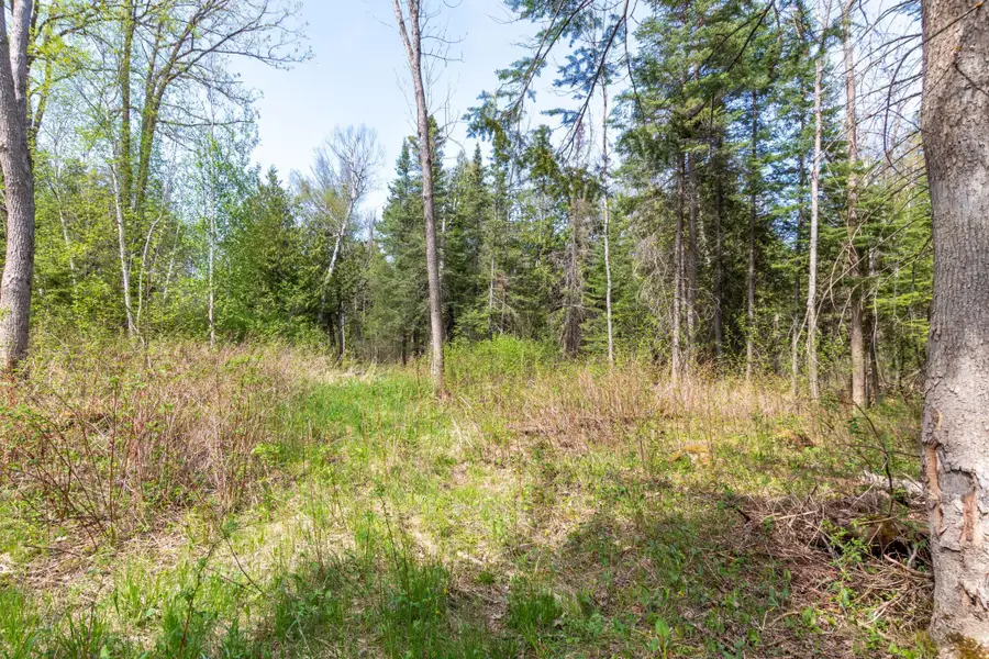 TBD Stephani Road Nw, Puposky, MN 56667 - #3