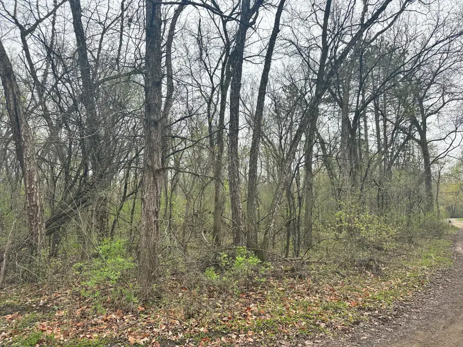 Lot 0 Catfish Drive, Trempealeau, WI 54661 - #2