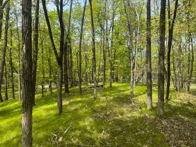 TBD Maple View Court, Excelsior, MN 55331 - #3