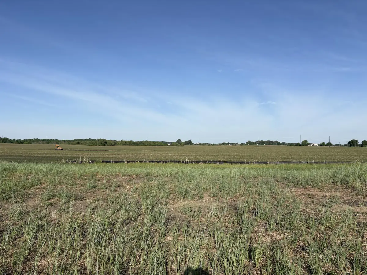 460 Ramey Road, Maple Lake, MN 55358 - #1
