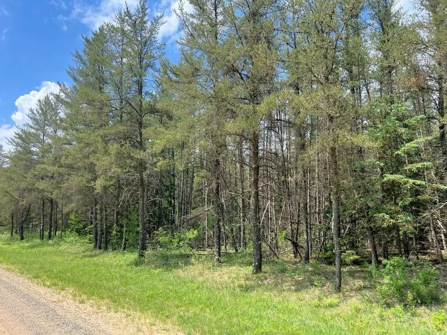 TBD County 109, Menahga, MN 56464 - #2