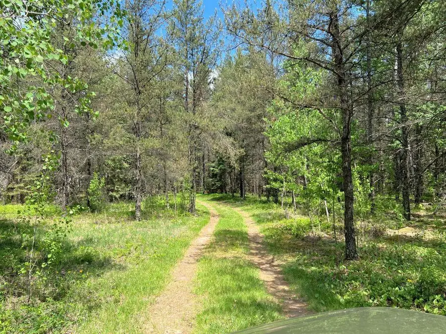 TBD County 109, Menahga, MN 56464 - #3