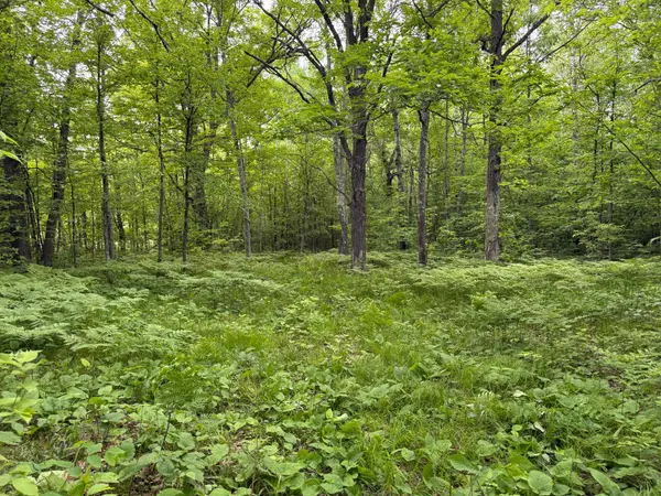 TBD Sandhill Crane Ln, Pine City, MN 55063