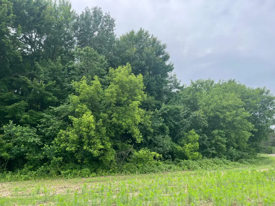 TBD (Lot 4) Hemingway Avenue, North Branch, MN 55056 - #3