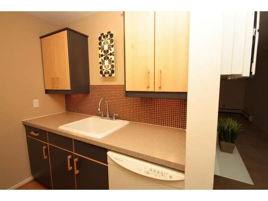 2800 Hamline Avenue N #229, Saint Paul, MN 55113 - #3