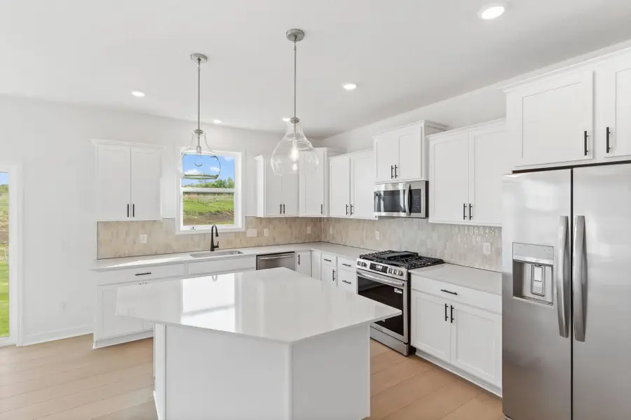 12397 Holden Way, Rogers, MN 55374 - #2
