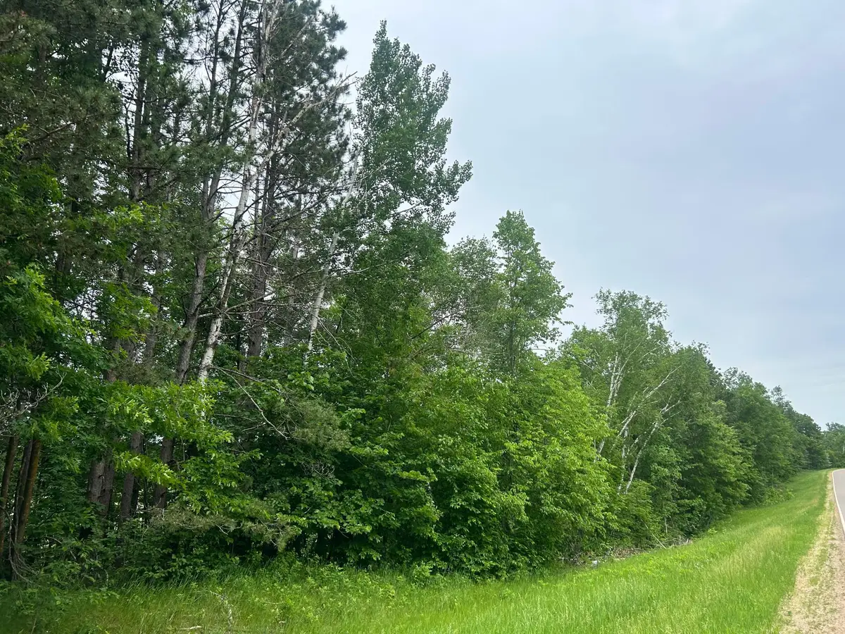 TBD County Rd 16, Cushing, MN 56443 - #1