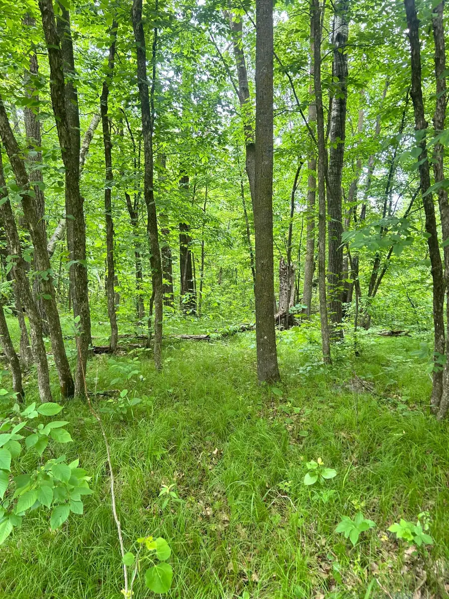 TBD County Rd 16, Cushing, MN 56443 - #3