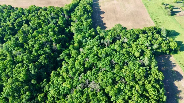 Lot 2 160th Ave, Maiden Rock, WI 54750