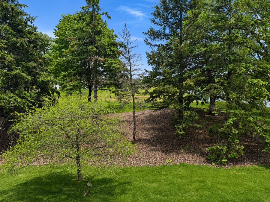 4233 93rd Avenue N, Minneapolis, MN 55443 - #2