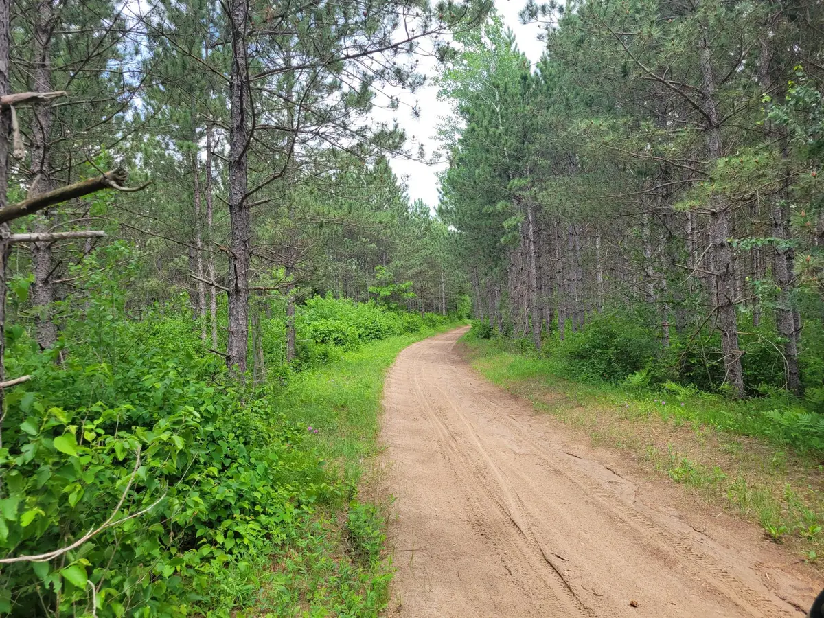 1045B State Trail, Nevis, MN 56467 - #1