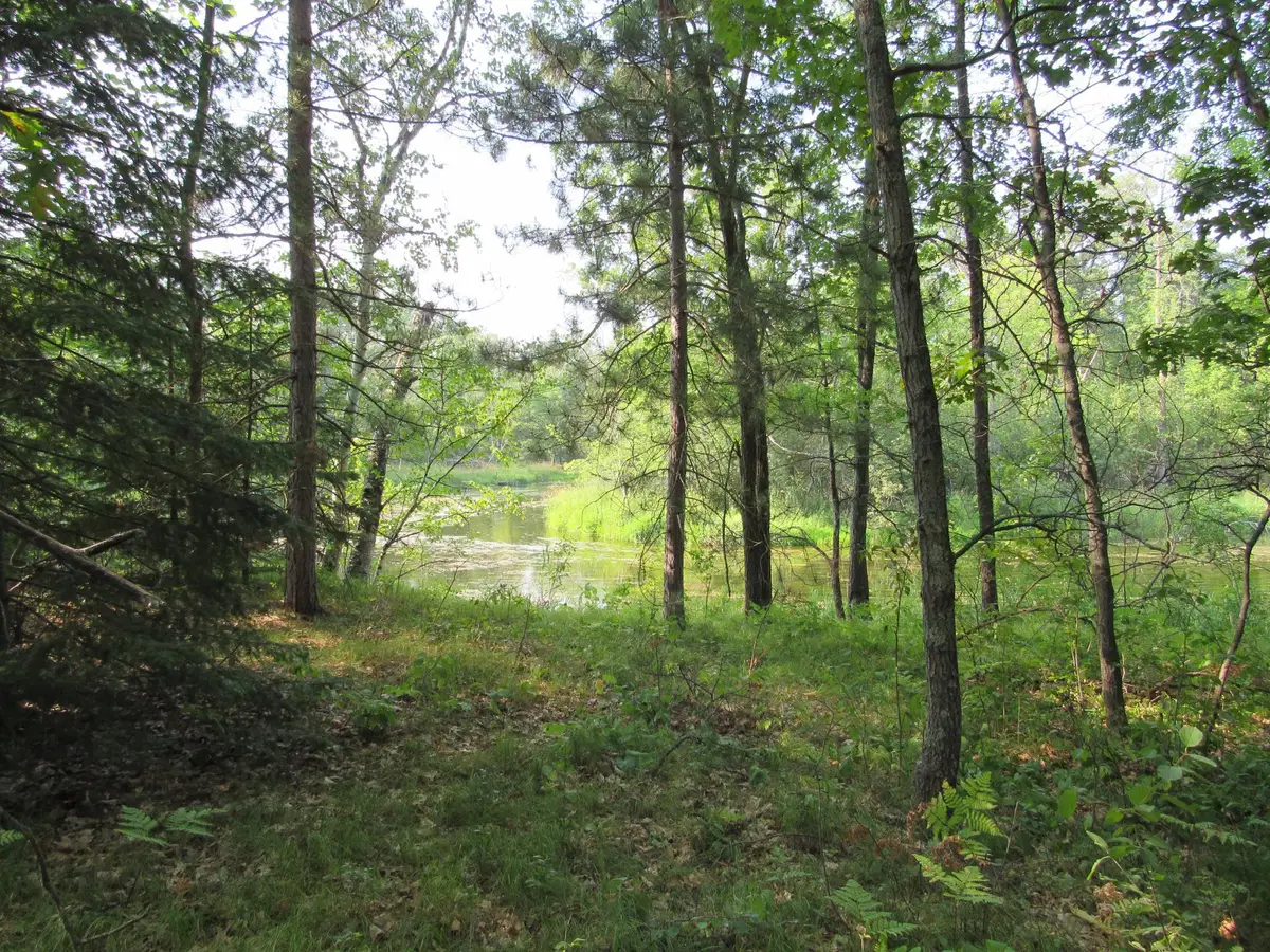 LOTS 5-11 TBD FRONT STREE Front Street, Pine River, MN 56474 - #1