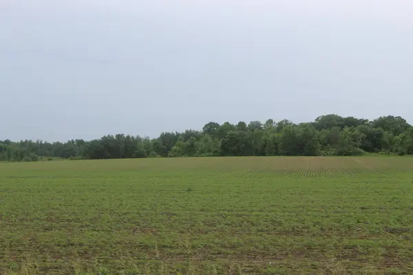 1021 120th Avenue, Ogilvie, MN 56358