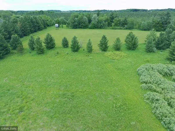 TBD Hummingbird Road, Braham, MN 55006