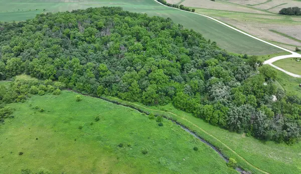 TBD Cardinal Lane, Mabel, MN 55954