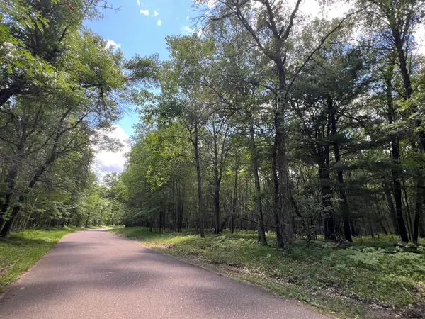 LOT 14 Loon Lake Road, Danbury, WI 54830