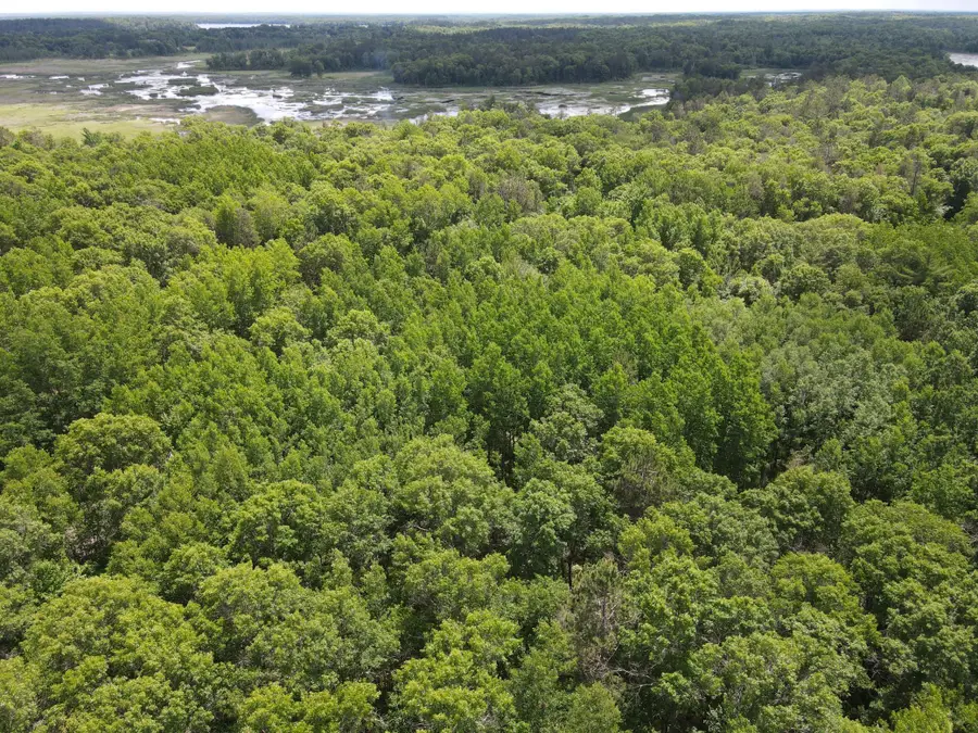 LOT 14 Loon Lake Road, Danbury, WI 54830 - #3