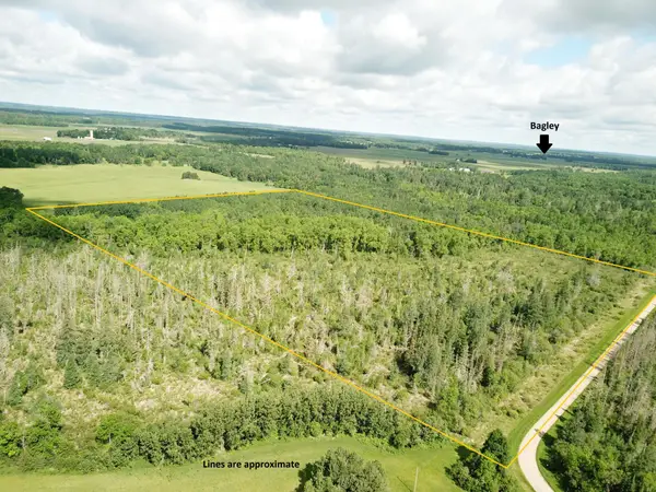 TBD1 Mud Lake Road, Bagley, MN 56621