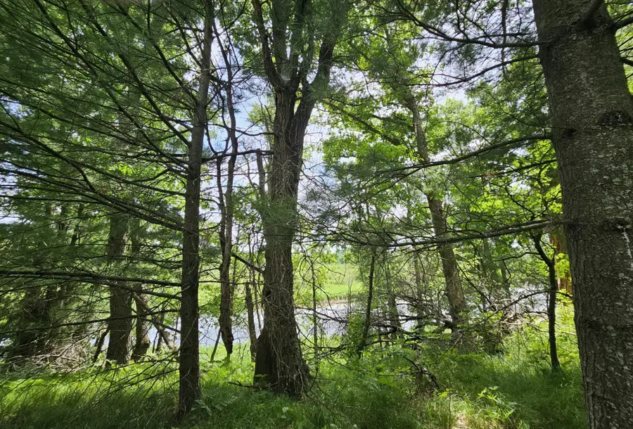 Lot 2 Gaslyn Road, Webster, WI 54893 - #2