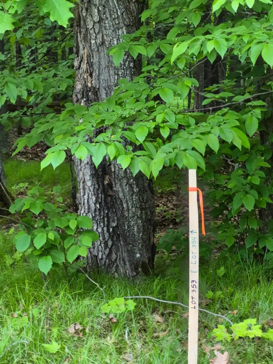 TBD, Lots 310, 353, and 3 195th Place, McGregor, MN 55760 - #3