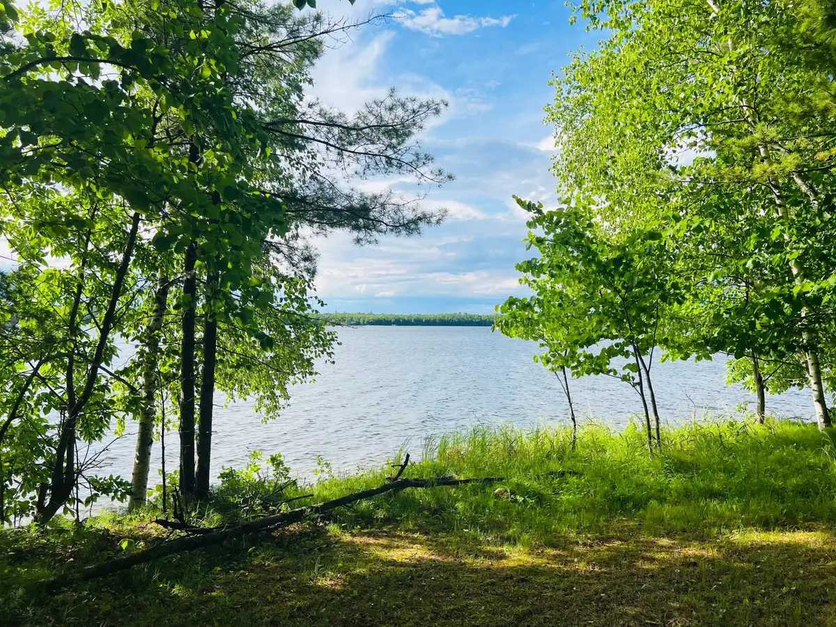 41699 Pinewood Lane, Laporte, MN 56461 - #1