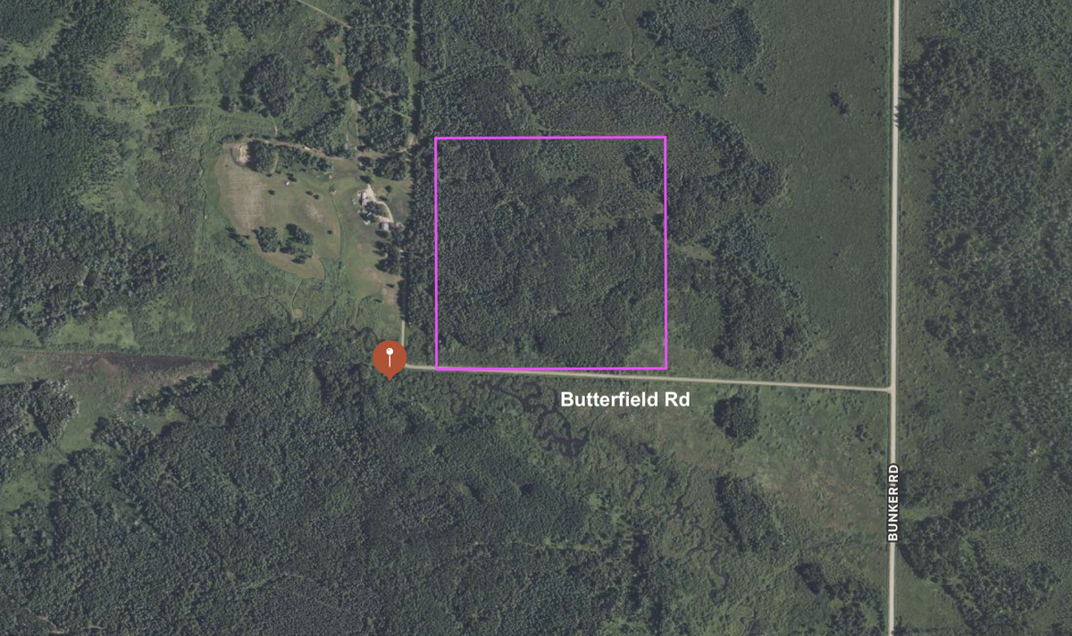 TBD Butterfield Road, Hibbing, MN 55746 - #1