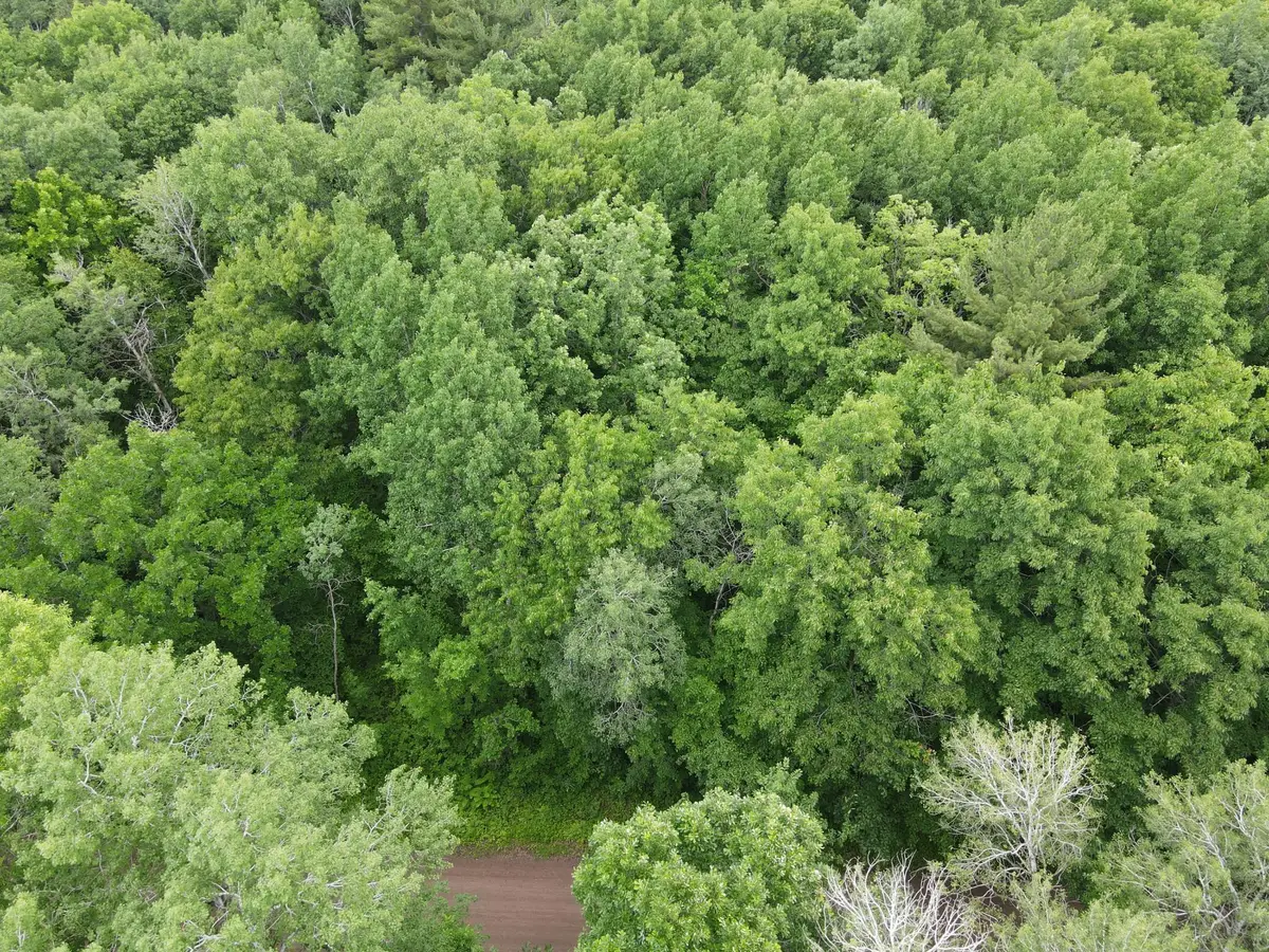 LOT 5 Wilderness Retreat, Pine City, MN 55063 - #1
