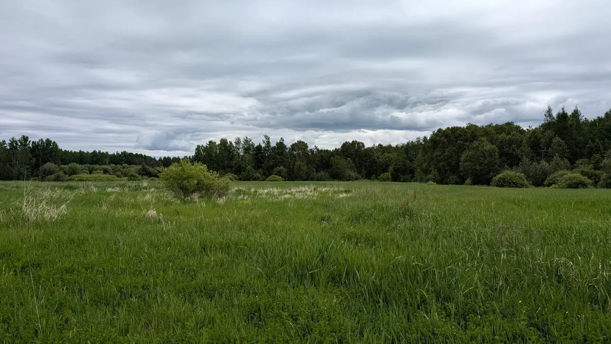 10211 Leander Road, Angora, MN 55703 - #1