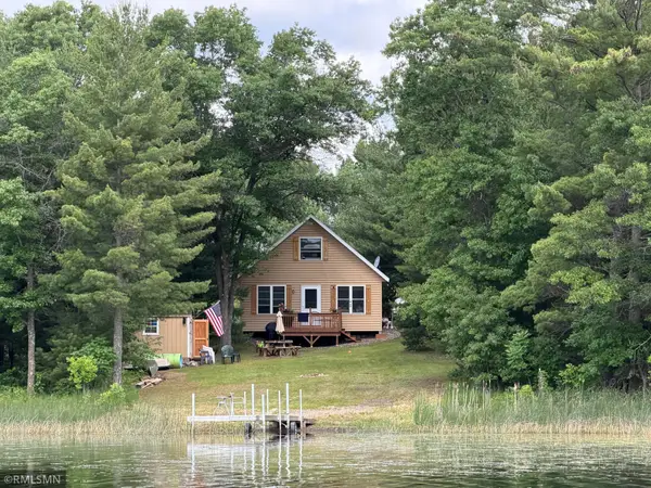 39806 Pine Island Point Trail, Browerville, MN 56438