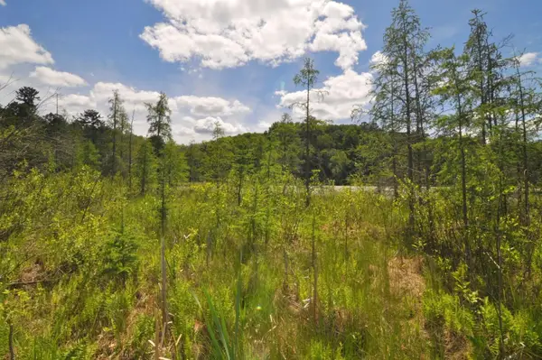 Lot 2 Evening Vista Trail Nw, Akeley, MN 56433
