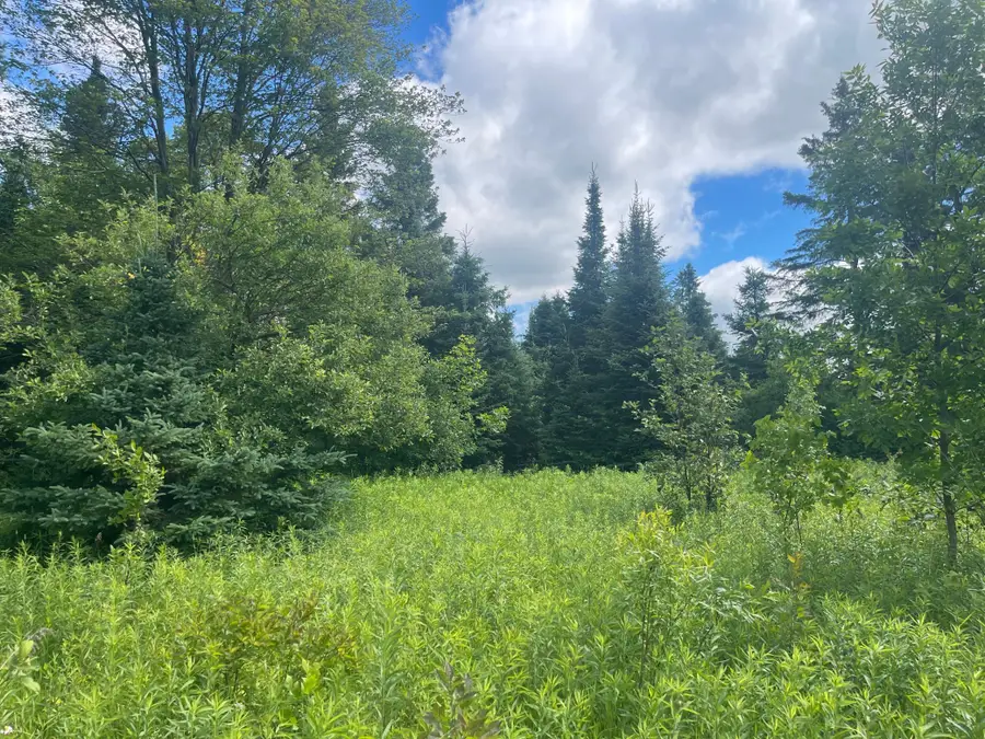 TBD Sjodahl Road, Sandstone, MN 55072 - #3