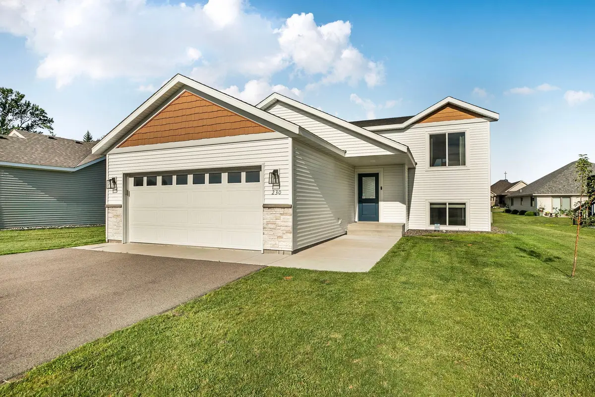 230 Pine Tree Road S, Litchfield, MN 55355 - #1