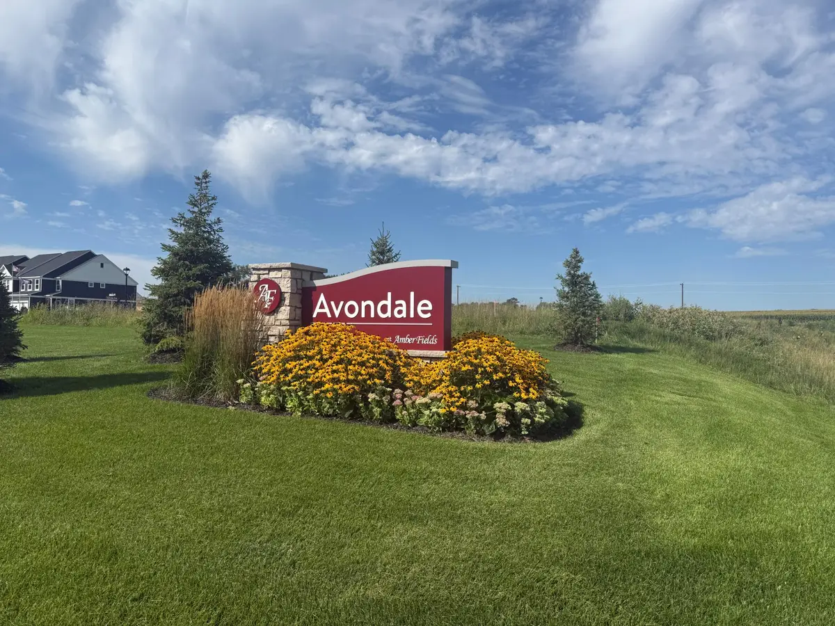 15173 Amber Fields Boulevard, Rosemount, MN 55068 - #1