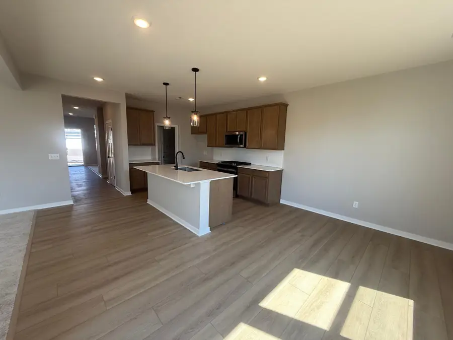 15173 Amber Fields Boulevard, Rosemount, MN 55068 - #2