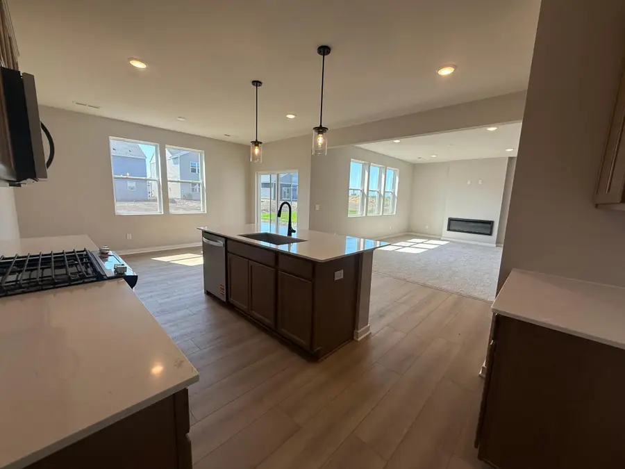 15173 Amber Fields Boulevard, Rosemount, MN 55068 - #3