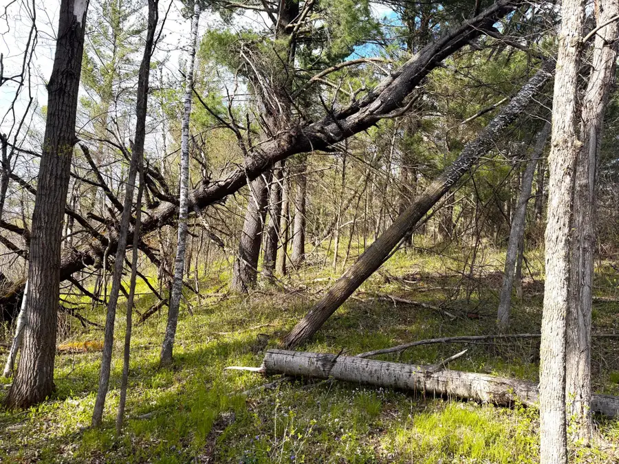 TBD County Line Avenue, Clear Lake, WI 54005 - #2