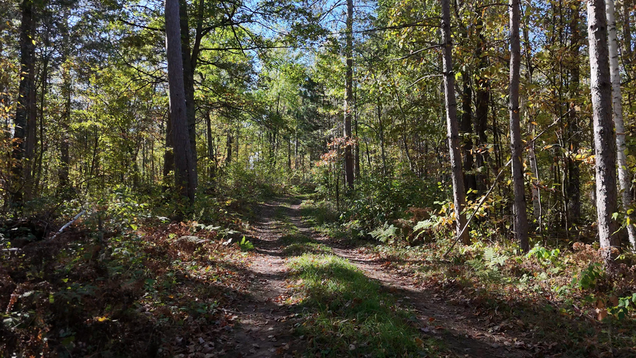 N5813 Mann Road, Spooner, WI 54801 - #3