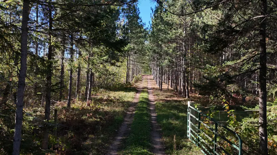 TBD BB Mann Road, Spooner, WI 54801 - #3