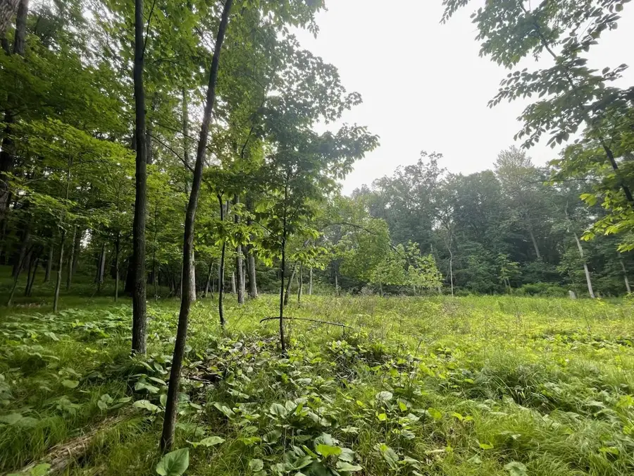 Lot's 4,5 & 6 Anderson Hill Lane, Boyceville, WI 54725 - #2