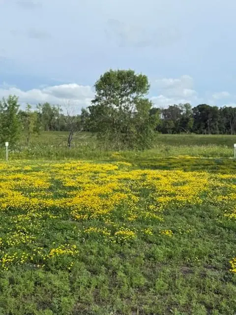 26381 Preserve Drive, Elko New Market, MN 55054